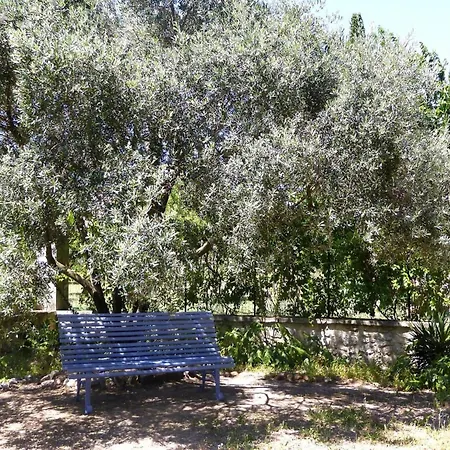 With Private Terrace In Provence Apartment